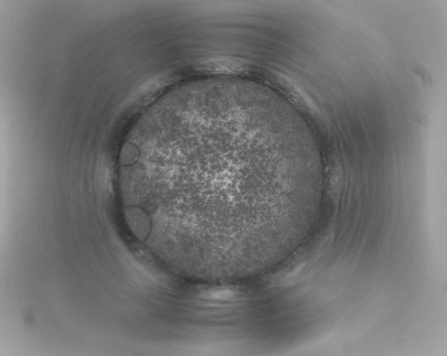 X0000115740643200911252000