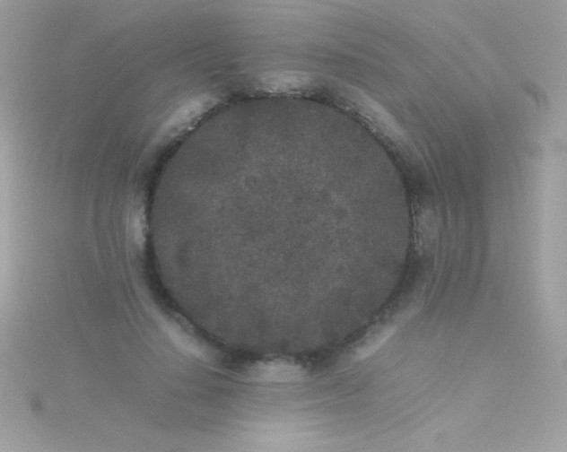 X0000115740644200911252000