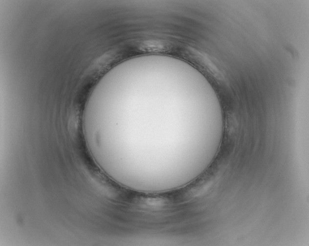 X0000115740645200911252000