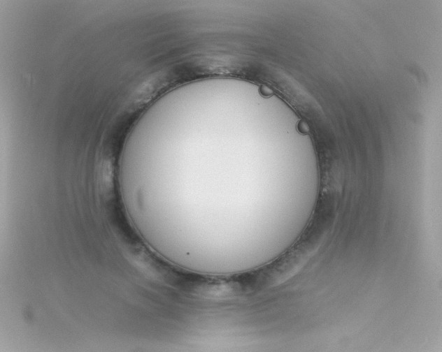 X0000115740646200911252000