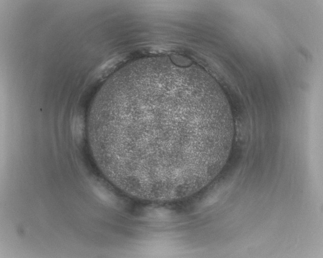 X0000115740648200911252000