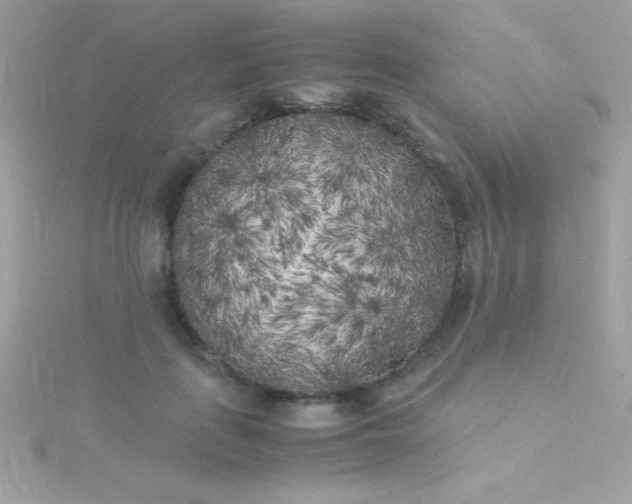 X0000115740651200911252000