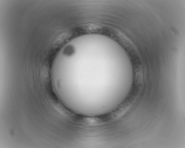 X0000115740654200911252000