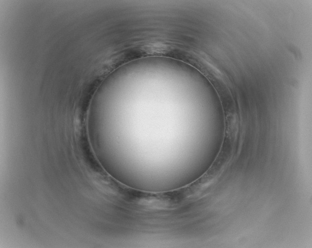 X0000115740655200911252000