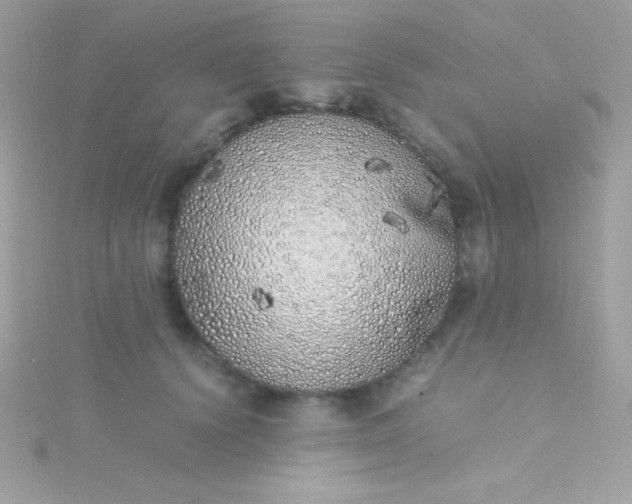 X0000115740656200911252000