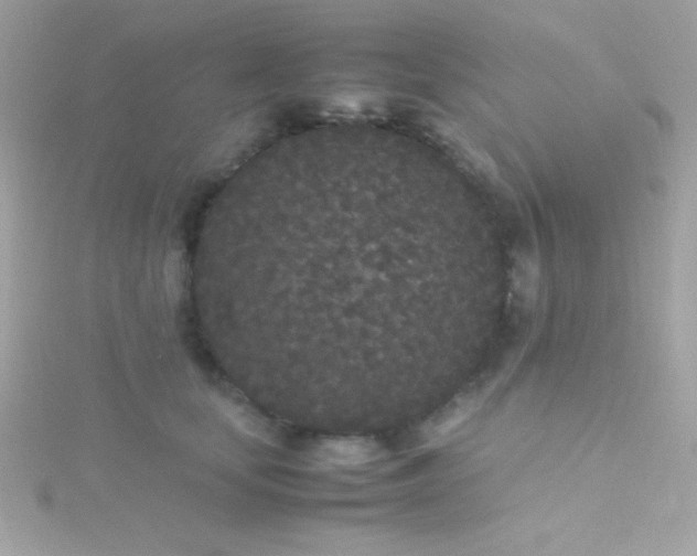 X0000115740659200911252000