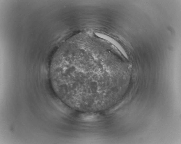 X0000115740661200911252000