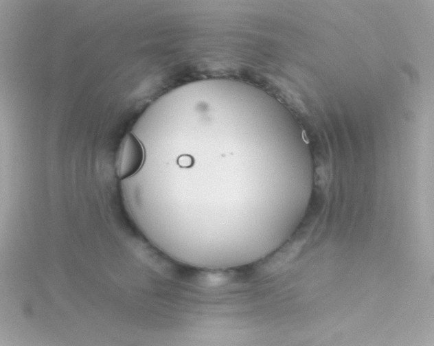 X0000115740662200911252000