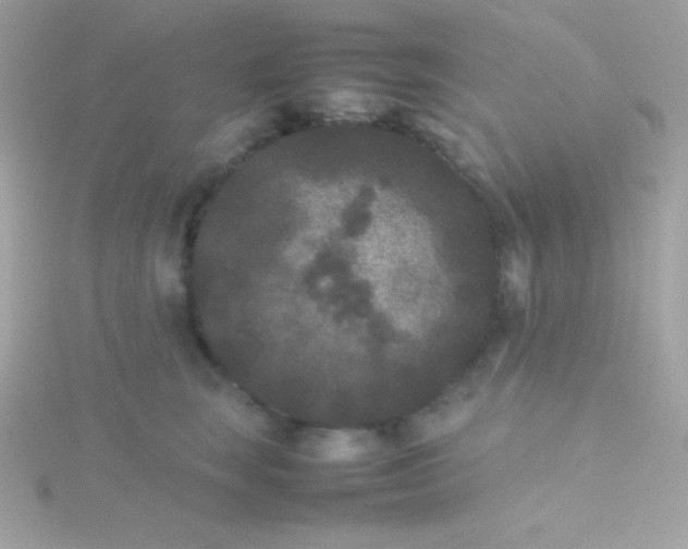 X0000115740663200911252000