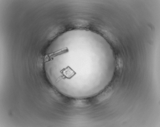 X0000115740664200911252000