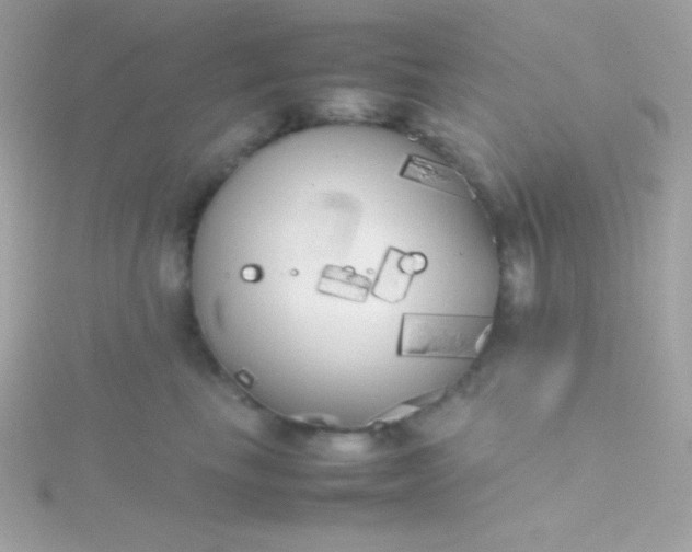 X0000115740665200911252000