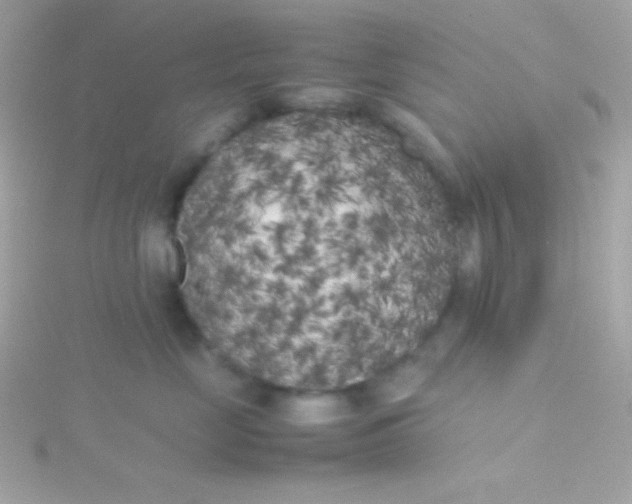 X0000115740669200911252000