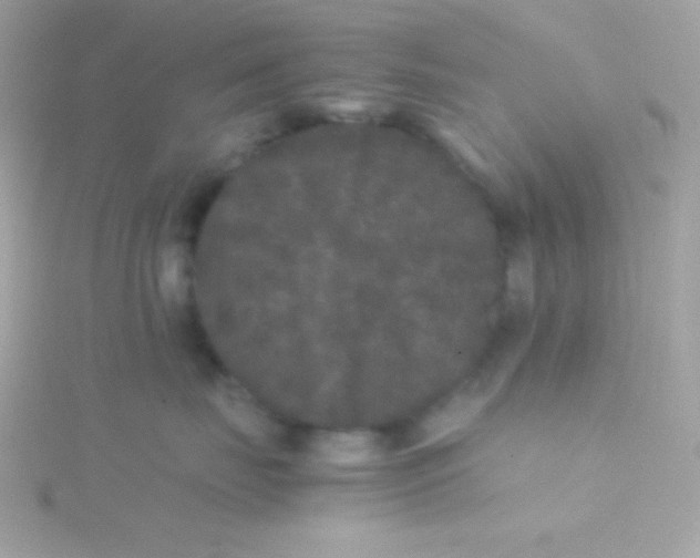 X0000115740671200911252000