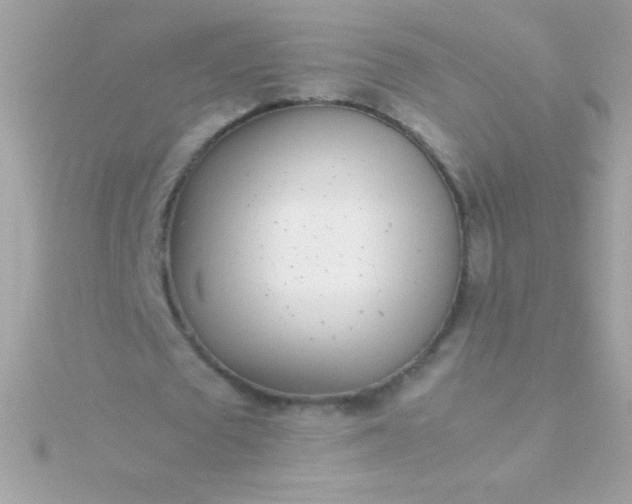 X0000115740673200911252000