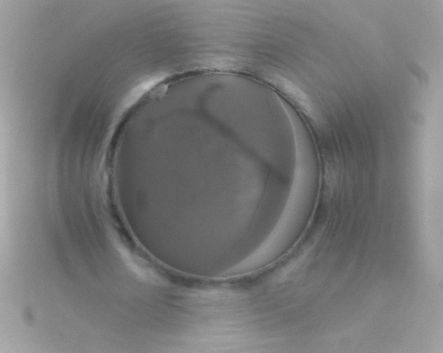 X0000115740674200911252000