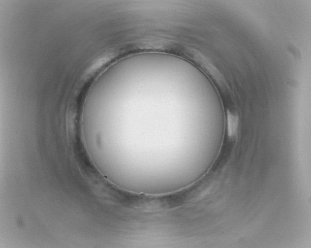 X0000115740675200911252000