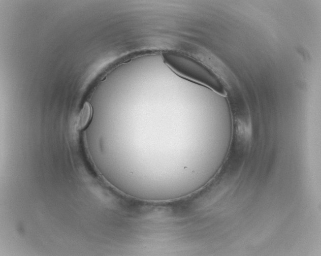 X0000115740676200911252000