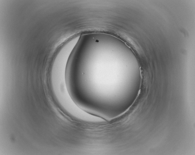 X0000115740677200911252000