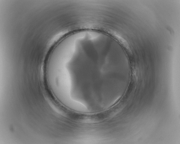 X0000115740678200911252000