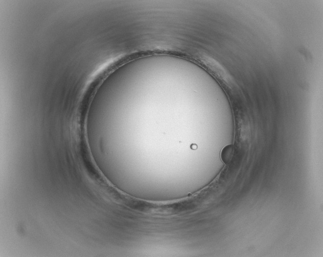 X0000115740680200911252000