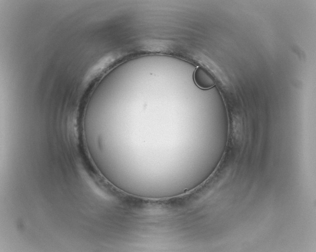 X0000115740682200911252000