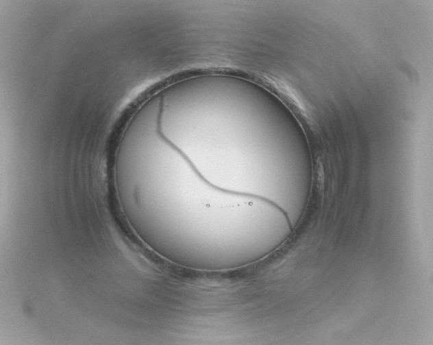 X0000115740684200911252000