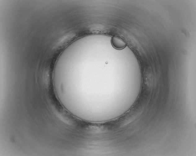 X0000115740690200911252000