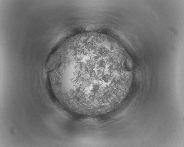 X0000115740691200911252000