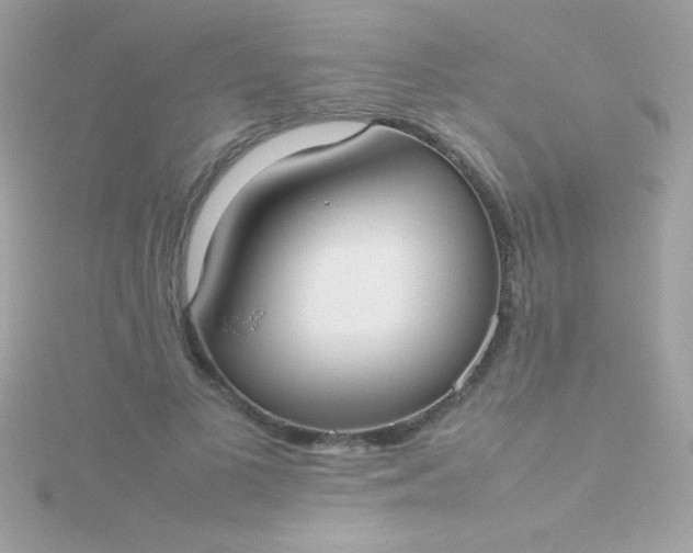 X0000115740693200911252000