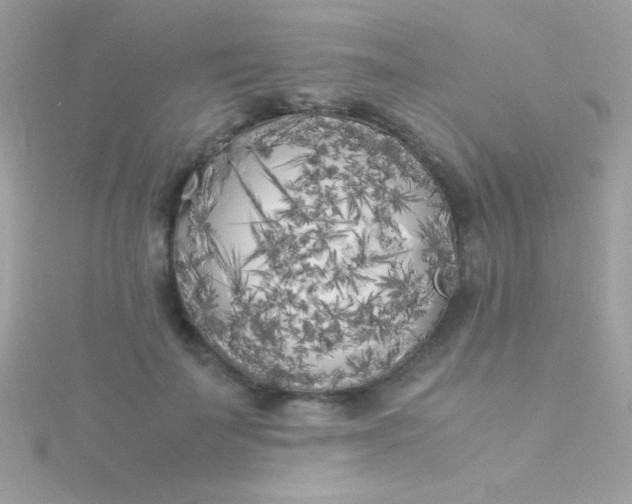 X0000115740699200911251959