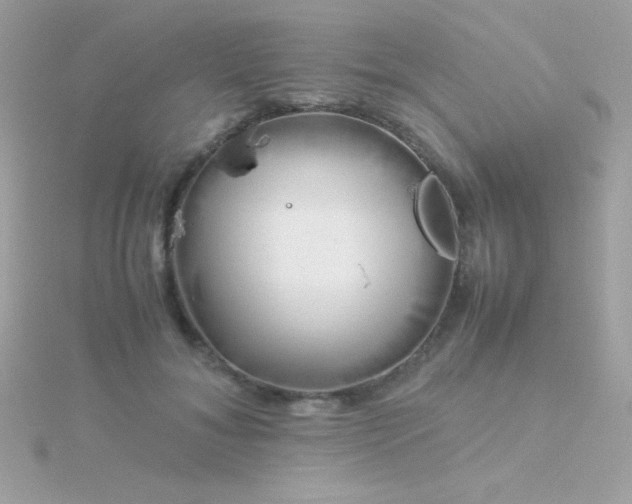 X0000115740700200911251959