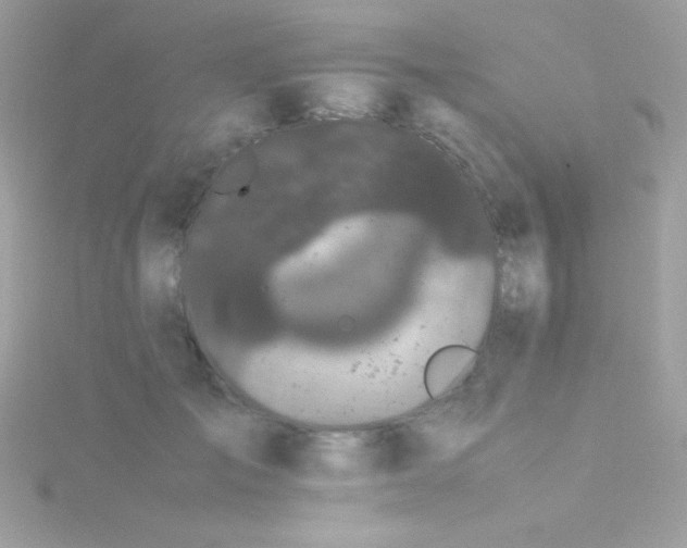 X0000115740701200911251959