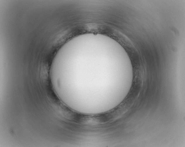 X0000115740702200911251959