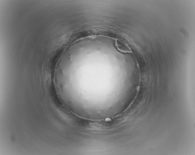 X0000115740703200911251959