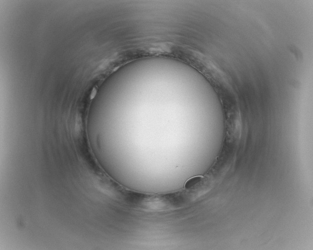 X0000115740704200911251959