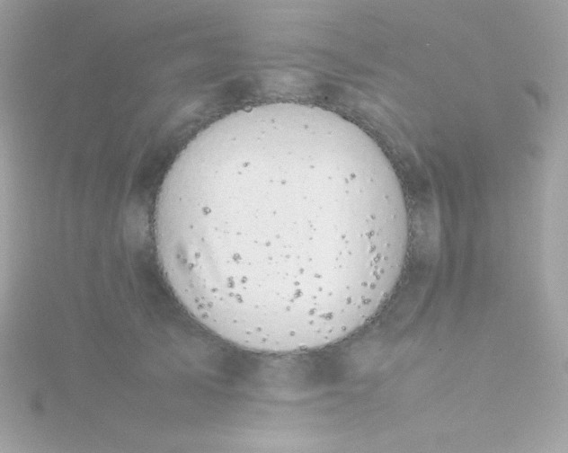 X0000115740705200911251959