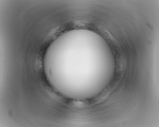 X0000115740706200911251959