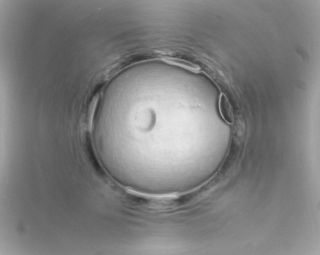 X0000115740707200911251959