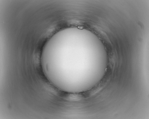 X0000115740708200911251959