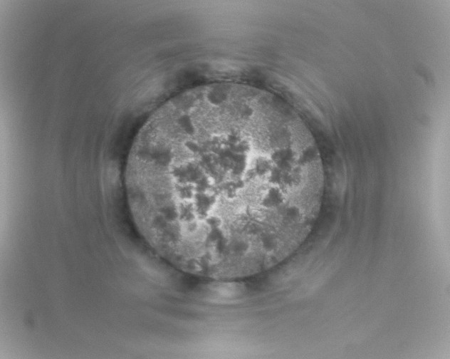 X0000115740711200911251959