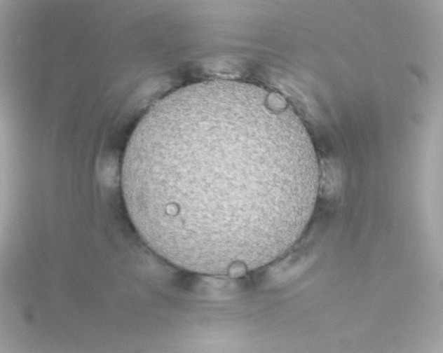 X0000115740713200911251959