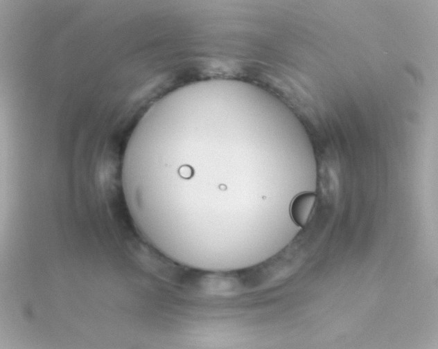 X0000115740714200911251959