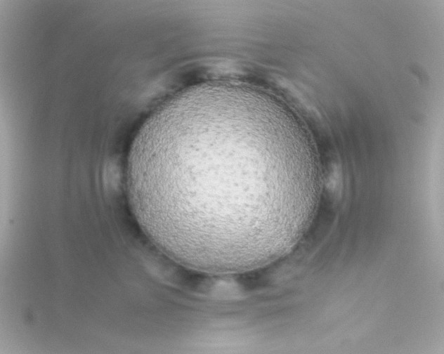 X0000115740715200911251959