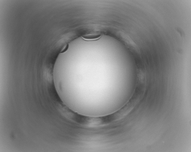 X0000115740719200911251959