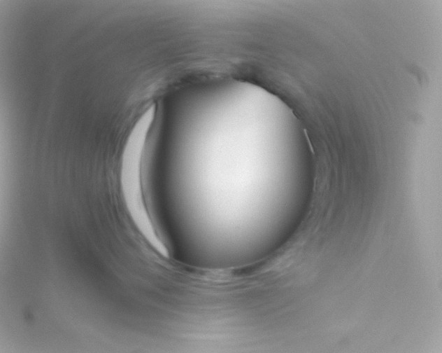 X0000115740720200911251959