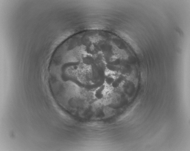 X0000115740721200911251959