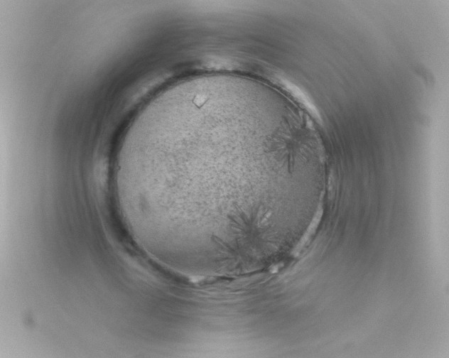 X0000115740722200911251959