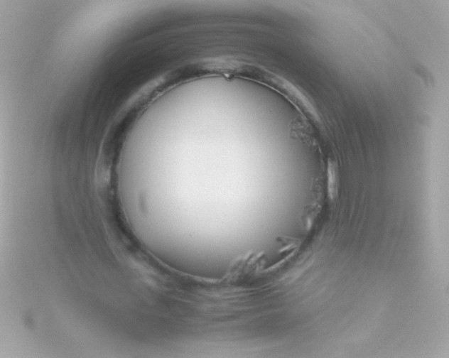 X0000115740723200911251959