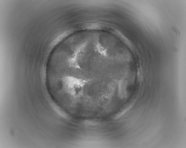 X0000115740725200911251959