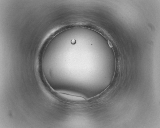 X0000115740726200911251959